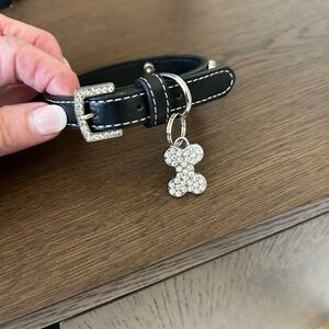 Brand new without tag . Collar for female 4to 6 lb dog. Collar with Rhiinestones